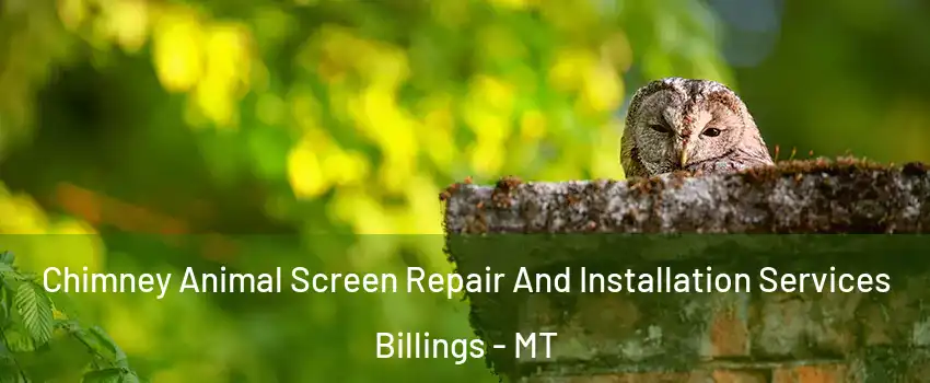  Chimney Animal Screen Repair And Installation Services Billings - MT