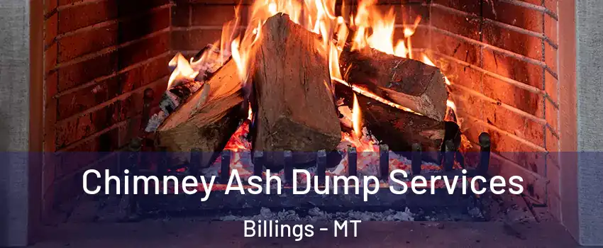  Chimney Ash Dump Services Billings - MT