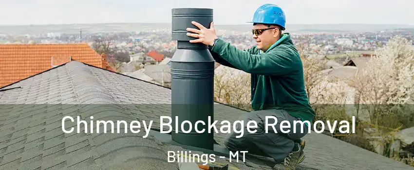  Chimney Blockage Removal Billings - MT