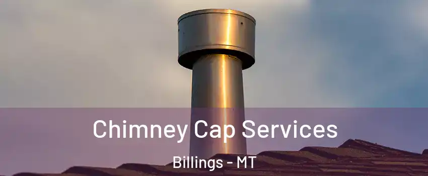  Chimney Cap Services Billings - MT