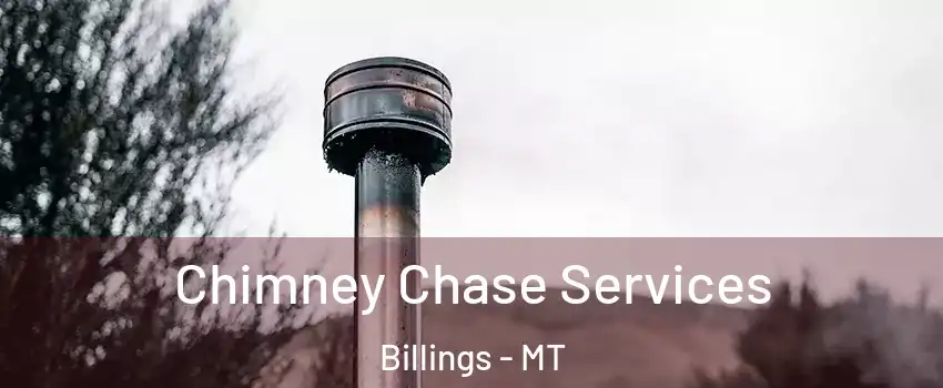  Chimney Chase Services Billings - MT