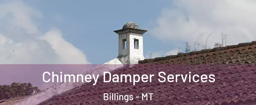  Chimney Damper Services Billings - MT