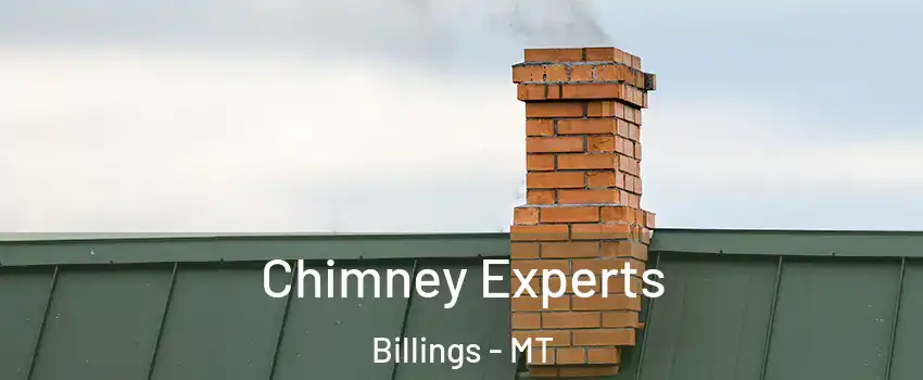  Chimney Experts Billings - MT