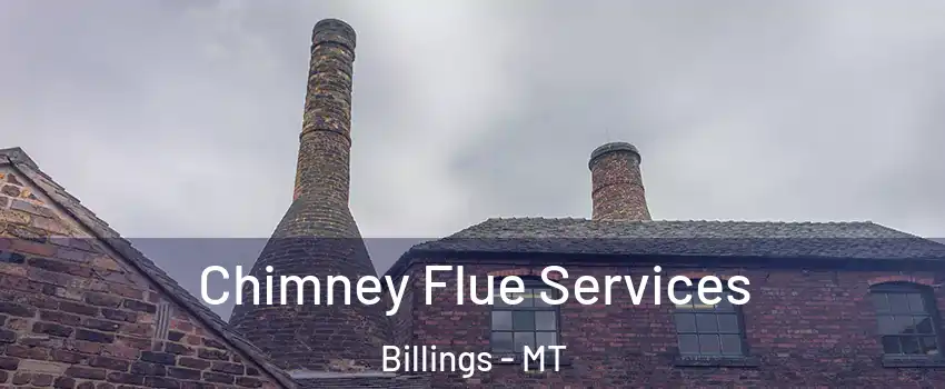  Chimney Flue Services Billings - MT