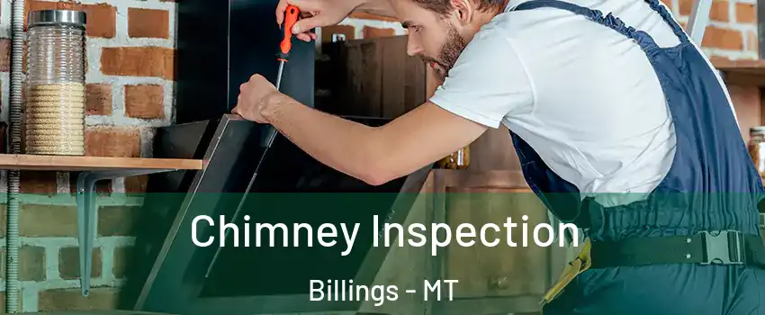  Chimney Inspection Billings - MT