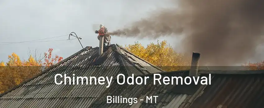 Chimney Odor Removal Billings - MT