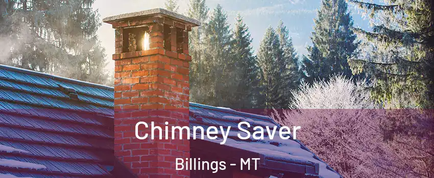  Chimney Saver Billings - MT