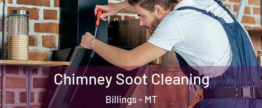  Chimney Soot Cleaning Billings - MT