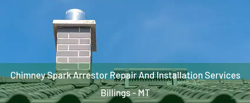  Chimney Spark Arrestor Repair And Installation Services Billings - MT