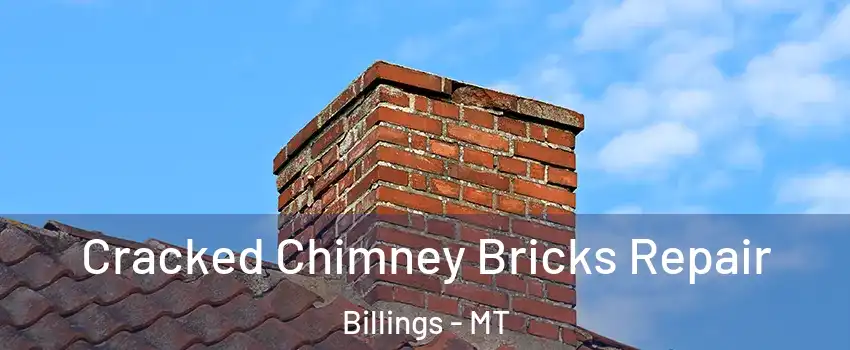  Cracked Chimney Bricks Repair Billings - MT