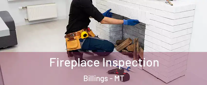  Fireplace Inspection Billings - MT