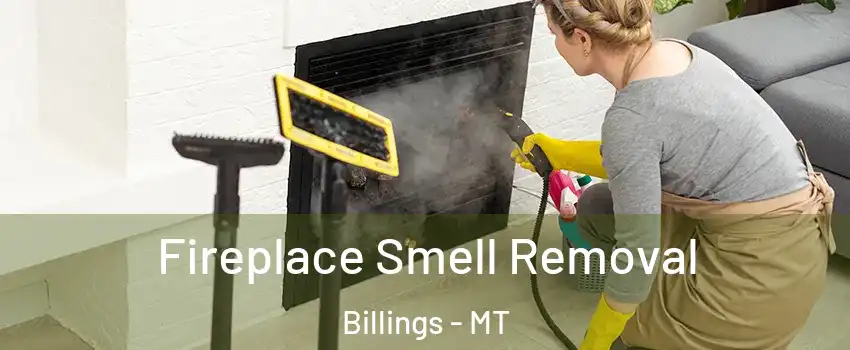  Fireplace Smell Removal Billings - MT