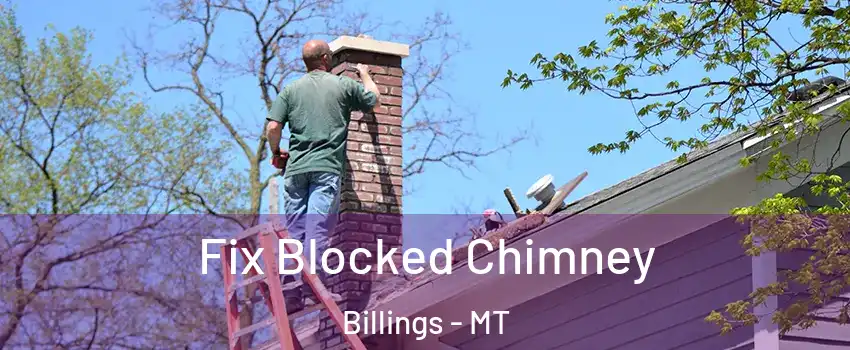  Fix Blocked Chimney Billings - MT