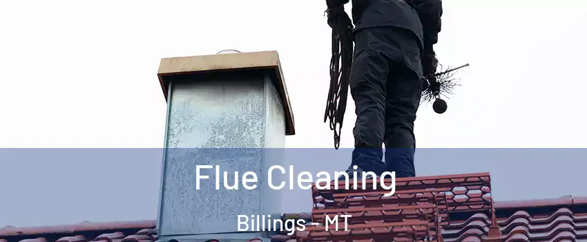  Flue Cleaning Billings - MT