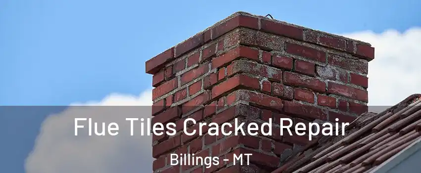  Flue Tiles Cracked Repair Billings - MT