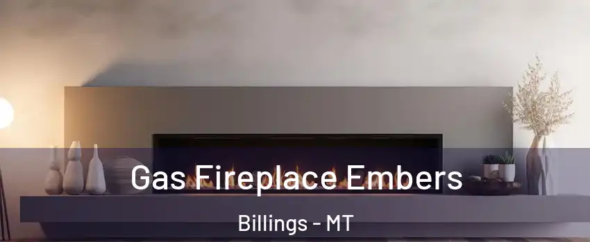  Gas Fireplace Embers Billings - MT