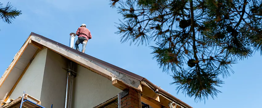 Birds Removal Contractors from Chimney in Billings, MT