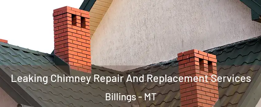  Leaking Chimney Repair And Replacement Services Billings - MT