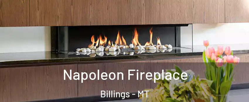  Napoleon Fireplace Billings - MT