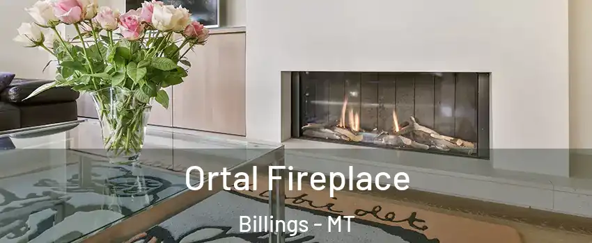  Ortal Fireplace Billings - MT